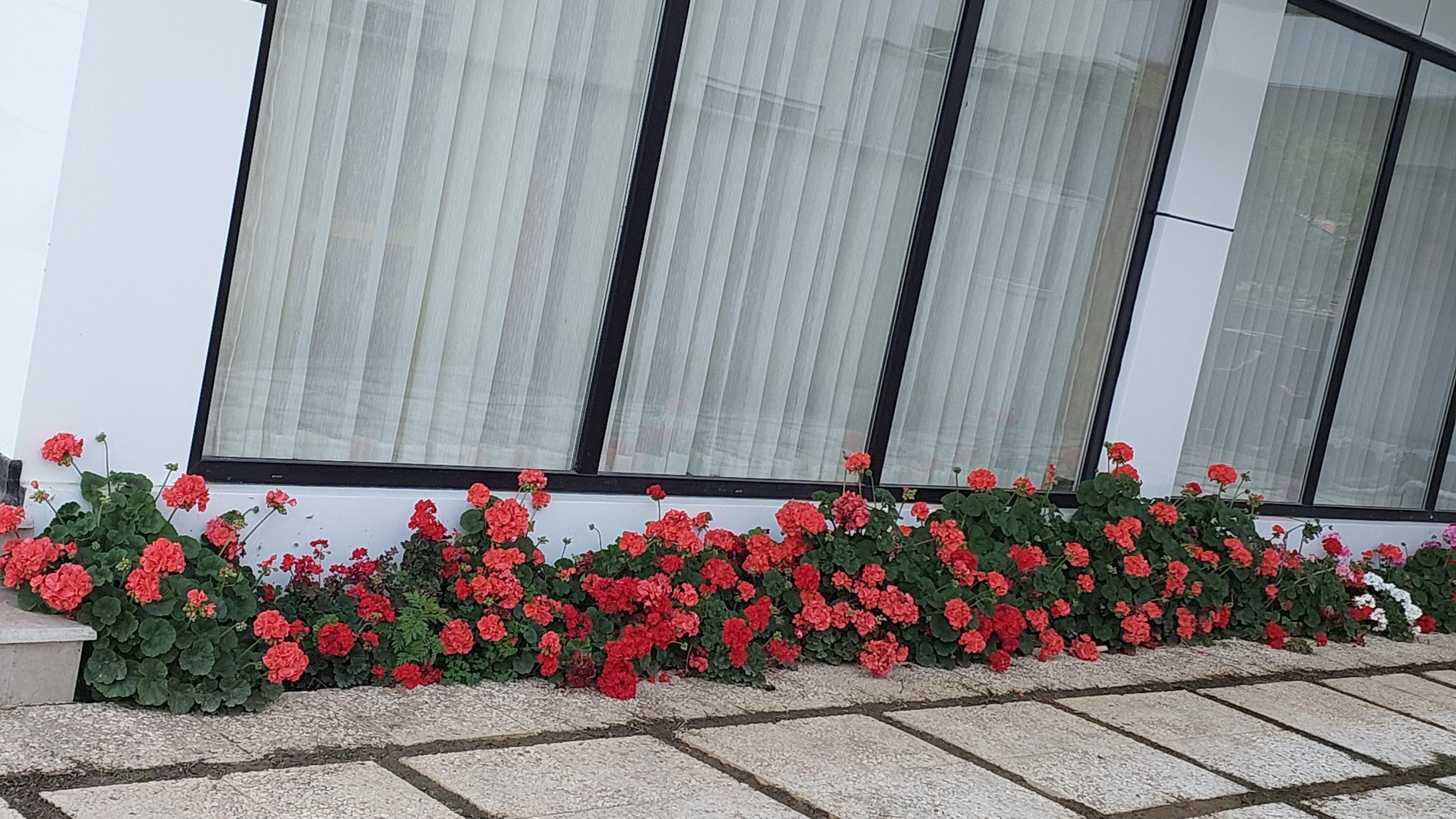 اجاره ویلای لوکس استخردار قلعه رودخان