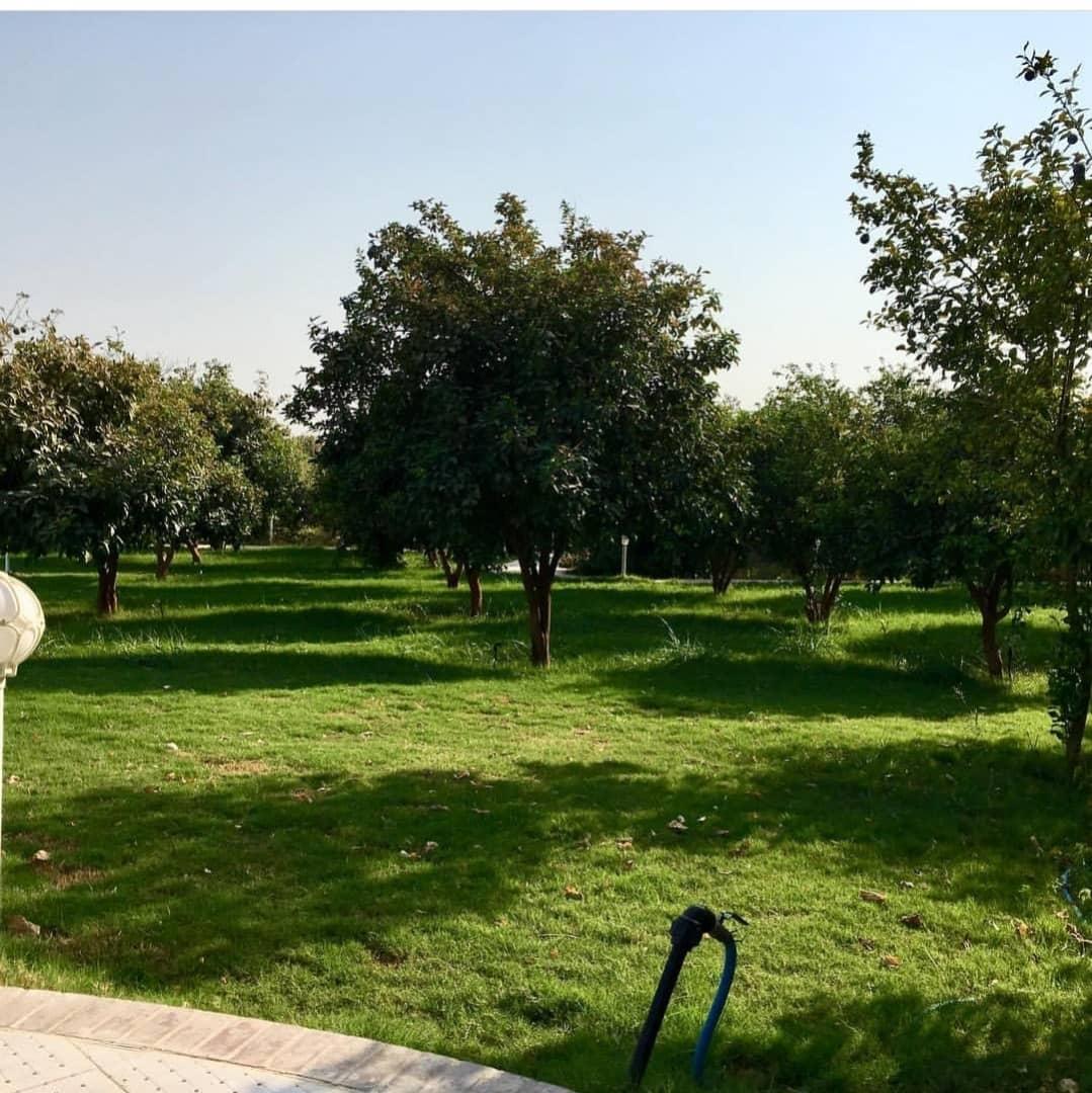 رزرو ویلا دو خوابه رویال در دزفول