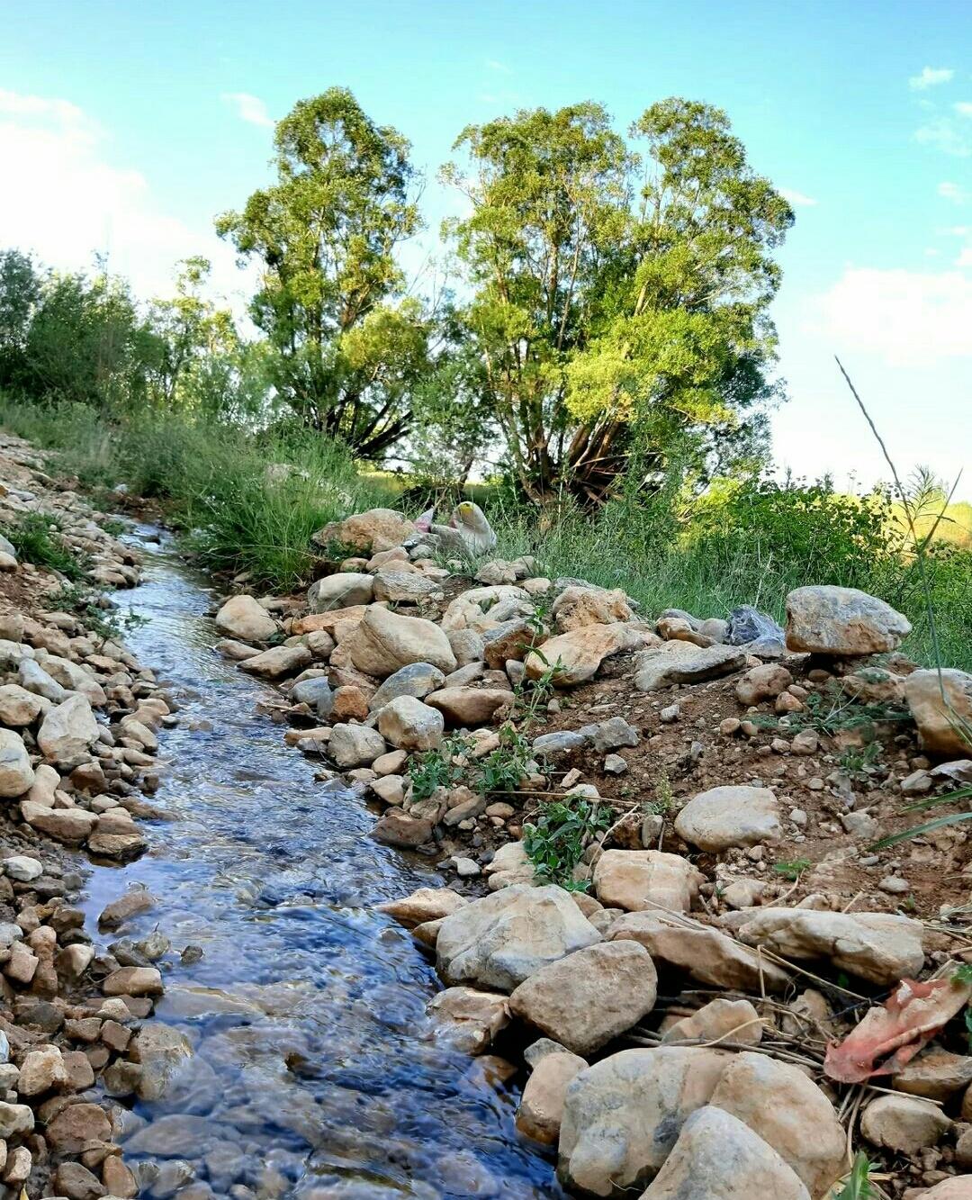 اجاره ویلا اطراف اصفهان شهر افوس