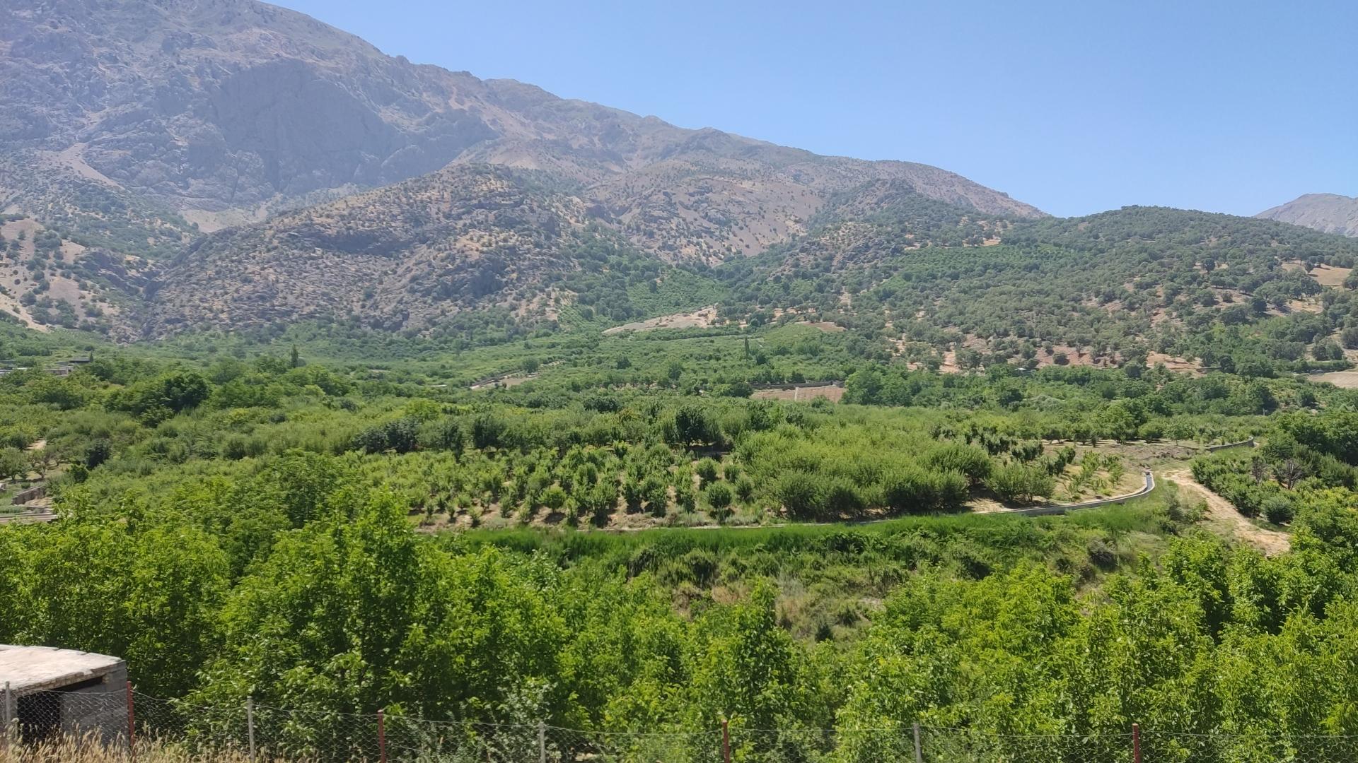 اجاره روزانه مهمانسرای دو خوابه در دنا