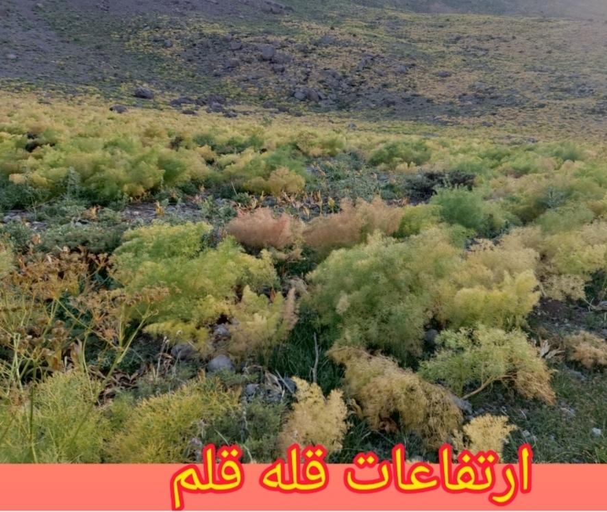 اجاره روزانه مهمانسرای دو خوابه در دنا