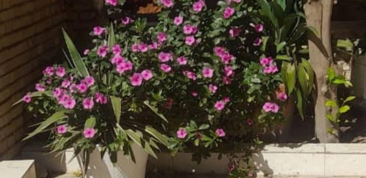 واحد تک خواب دوبلکس نزدیک به دریا