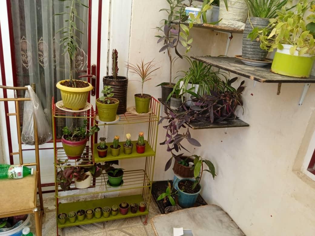 واحد ویلایی تک خواب روزانه در زنجان