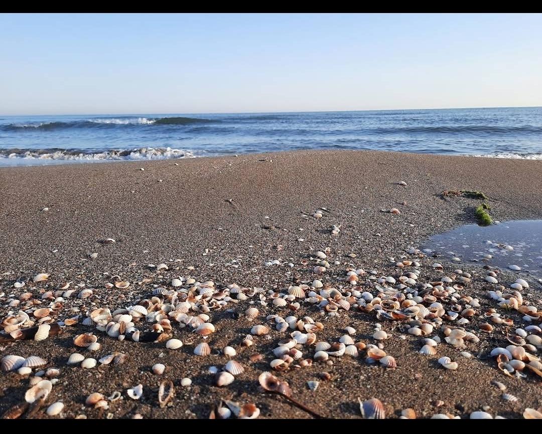 ویلا دو خوابه ساحلی و جنگلی میرود بابلسر