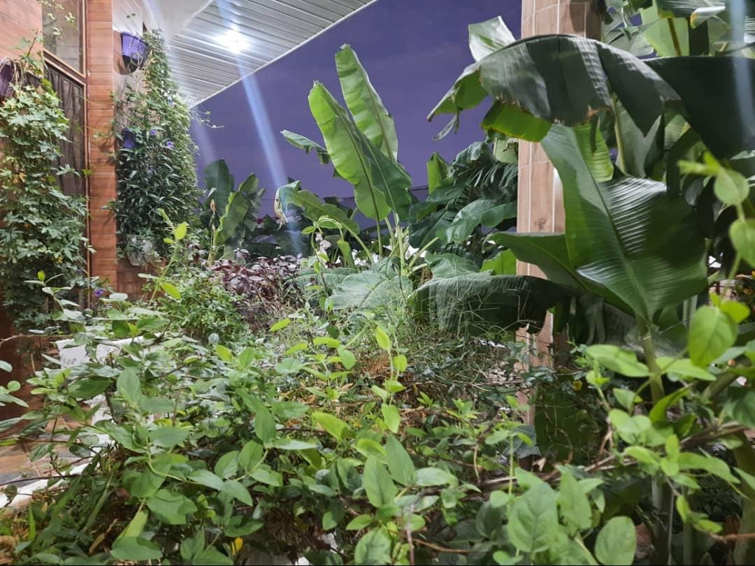 ویلا باغ ابراهیمی ۳خواب در دزفول