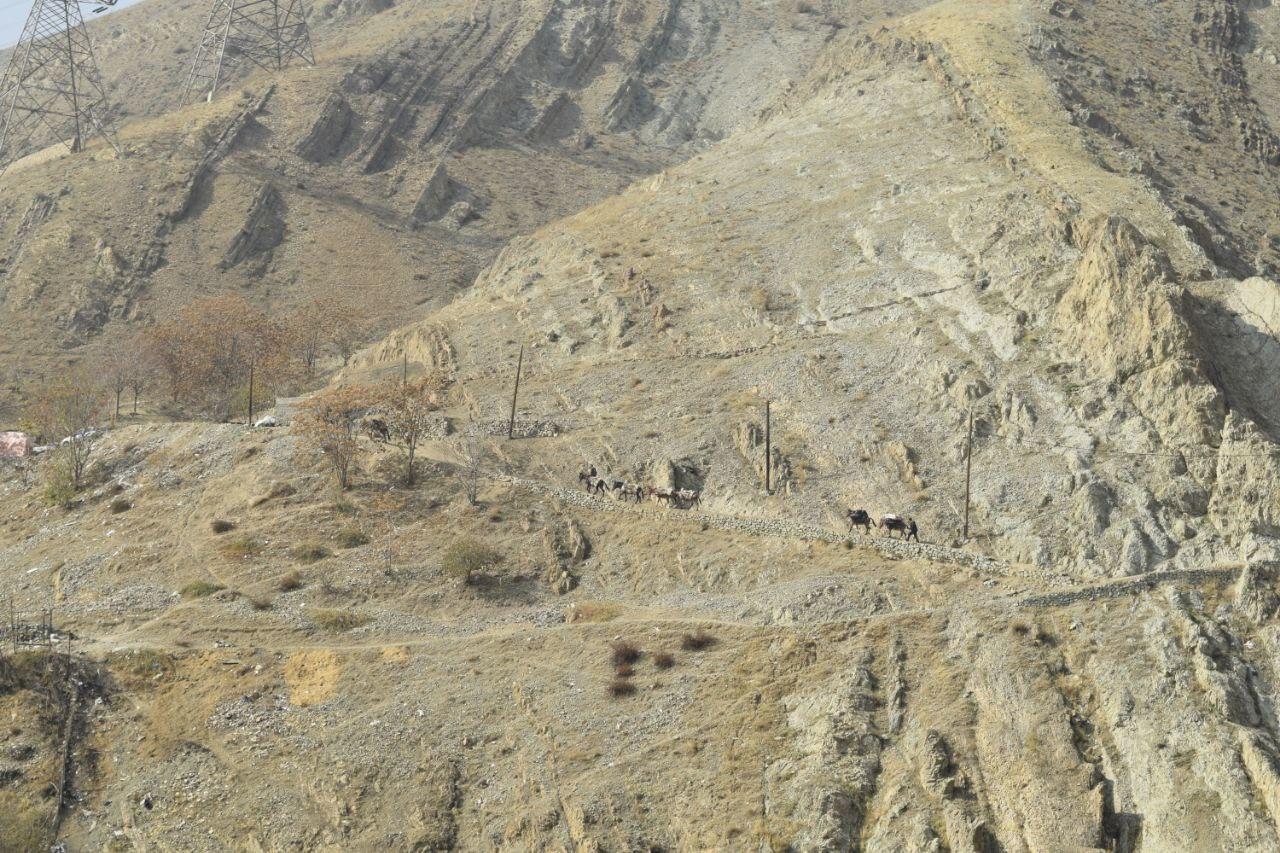 ویلای دوخوابه حیاط دار دربست درکه