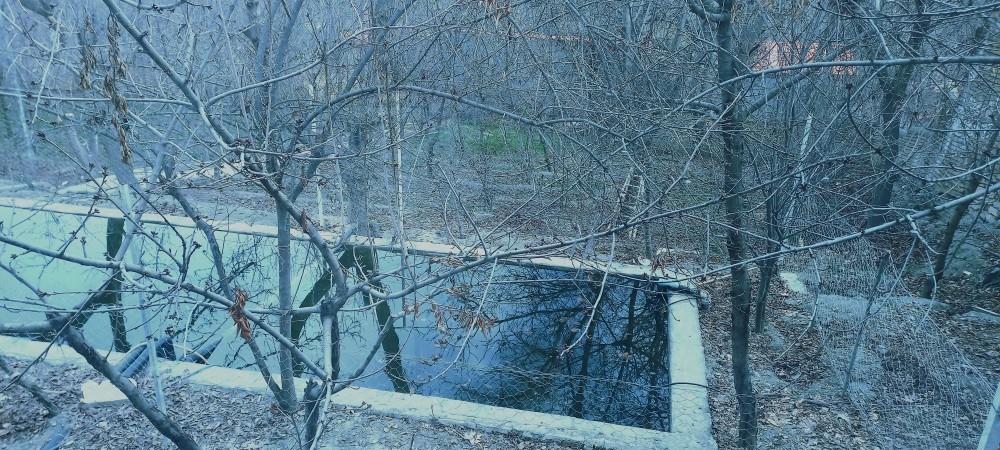 اجاره ویلایی استخردار سرو شاندیز