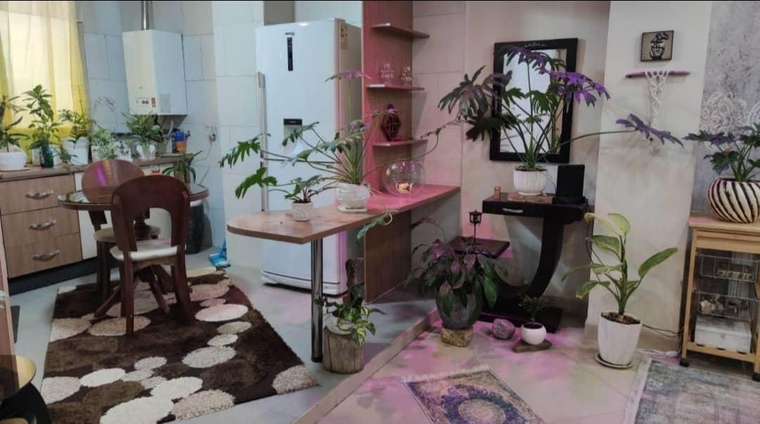 اجاره آپارتمان روزانه مبله گوهردشت کرج