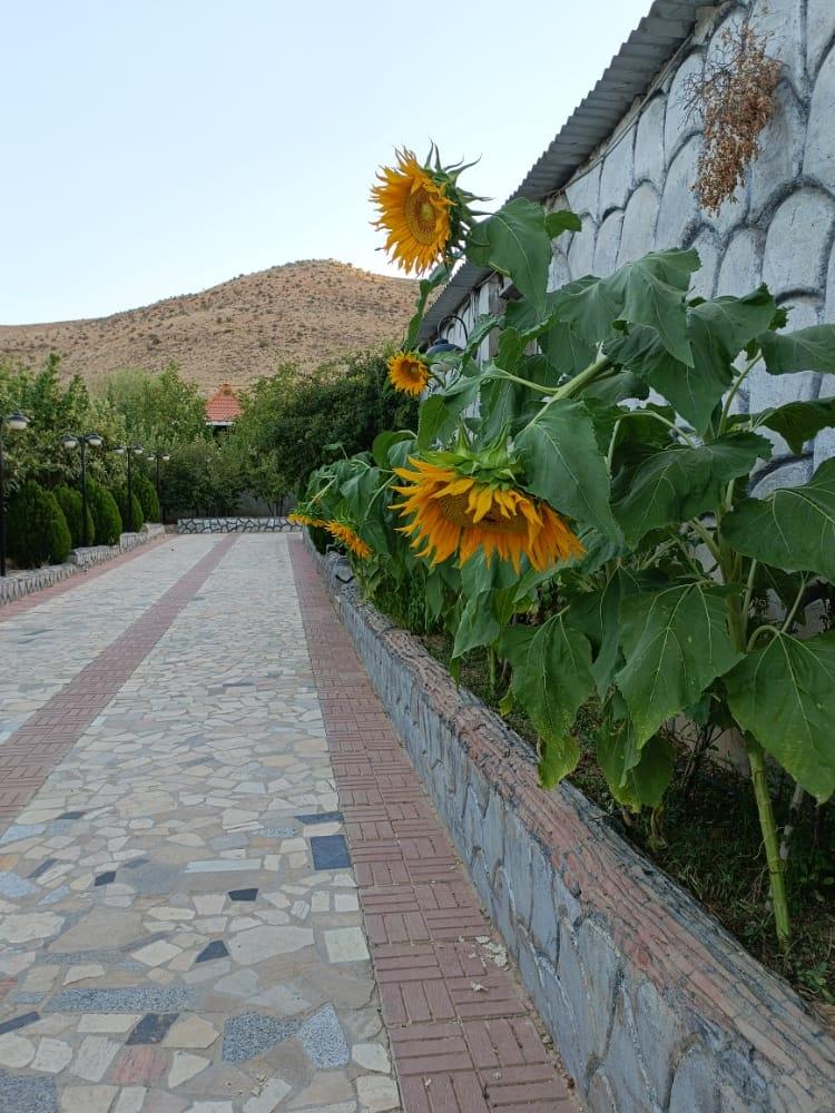 باغ ویلای دربست شیراز