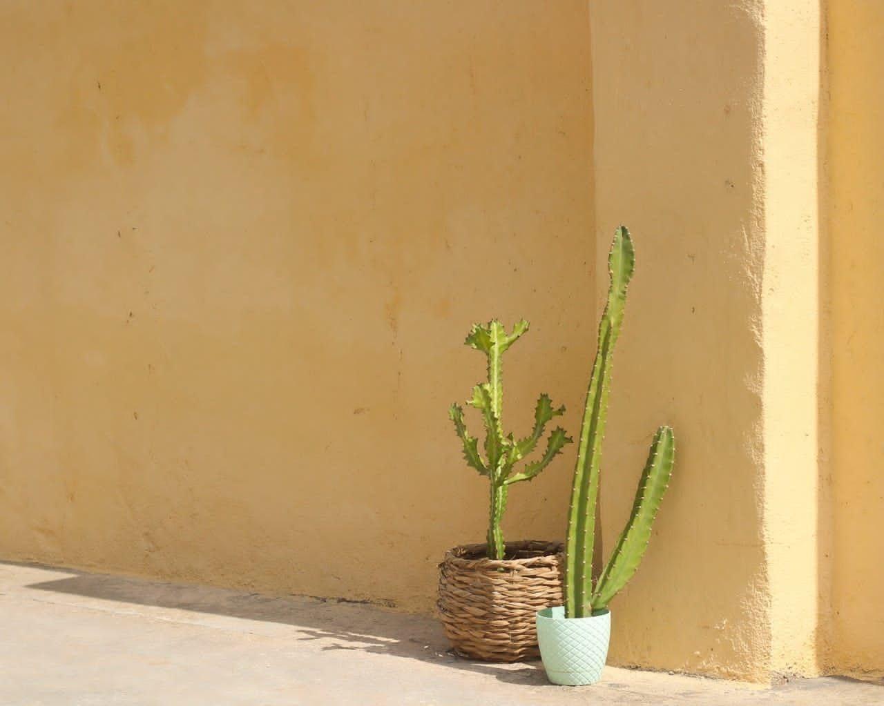 اقامتگاه بوم هرمزی در جزیره هرمز