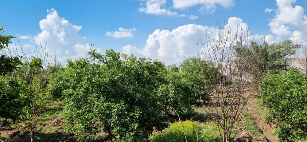 ویلا باغ لاکچری فاتحیفر در دزفول