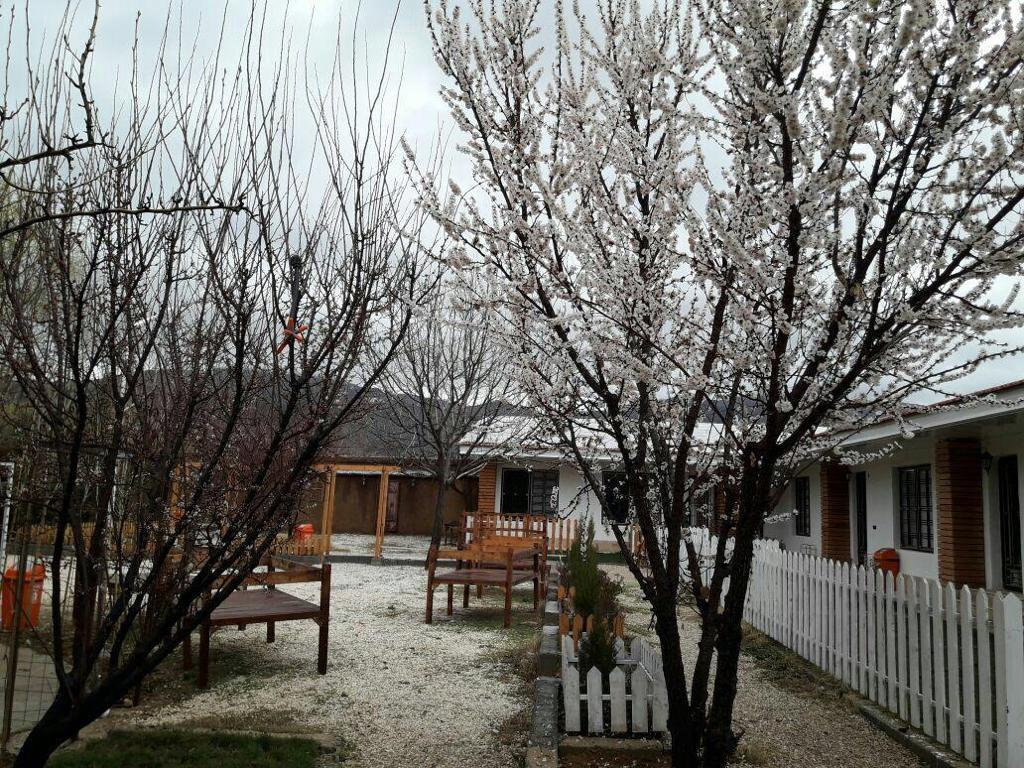 ویلا استخر و جکوزی دار اطراف شیراز