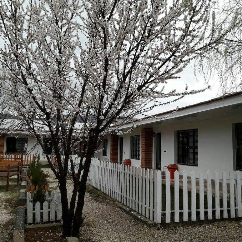 ویلا استخر و جکوزی دار اطراف شیراز