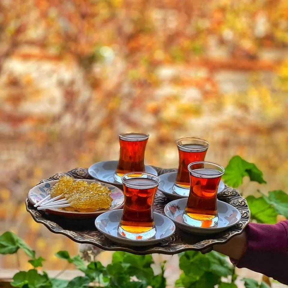 اجاره بوم گردی شادمهر در نیشابور