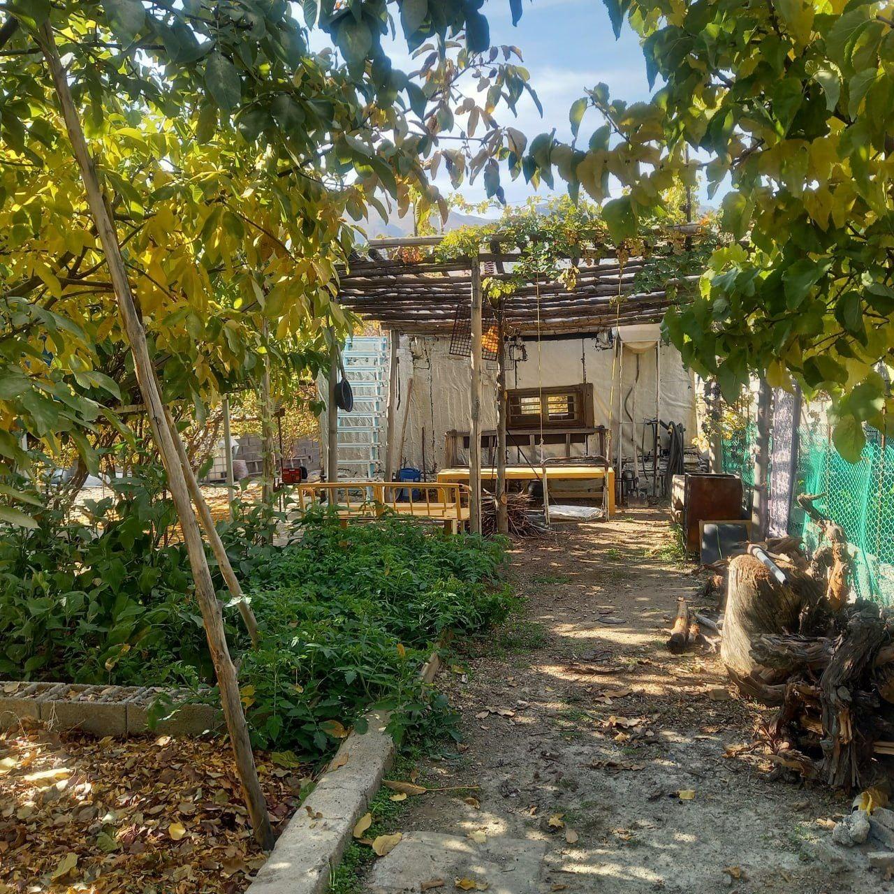 کلبه حیاط دار گردو در کرمانشاه