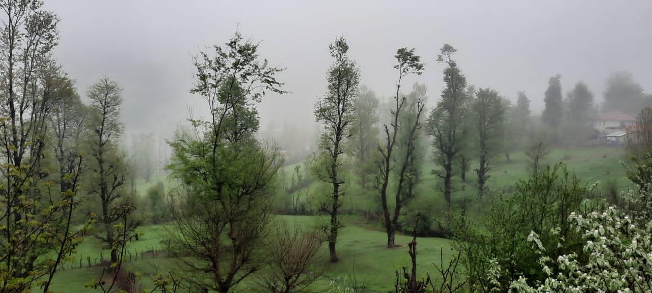 ویلا جنگلی آپادانا روستای استخرگاه