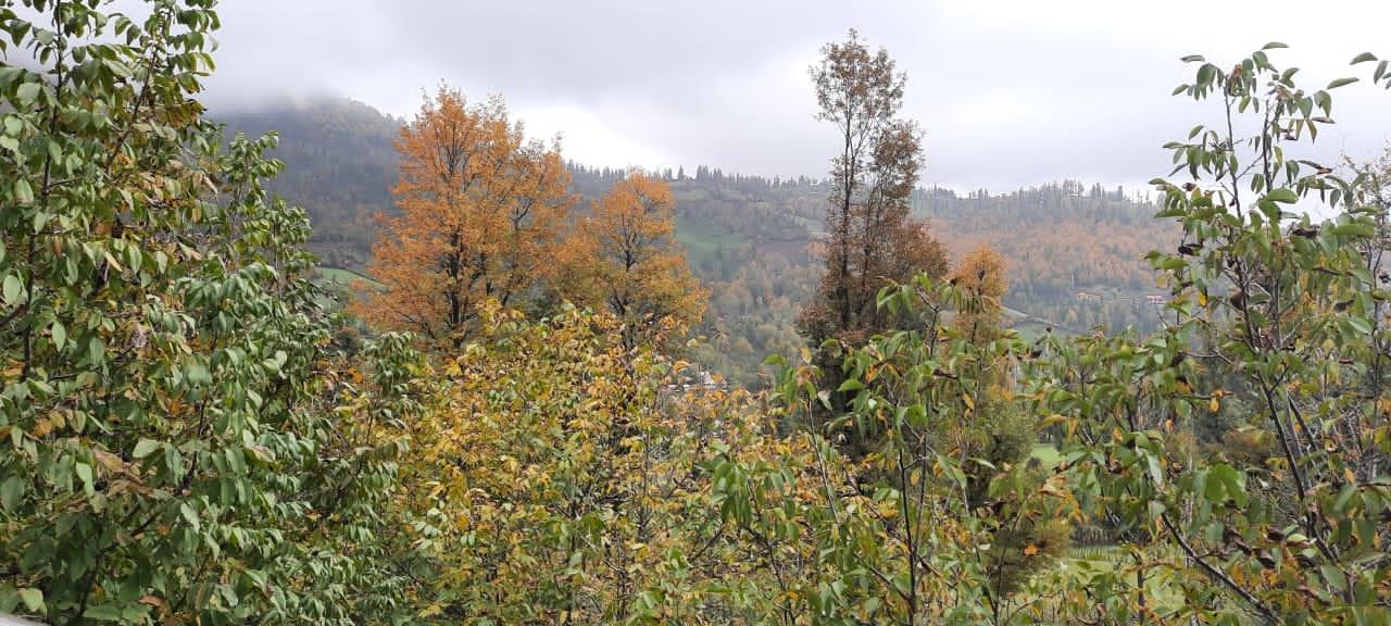 ویلا جنگلی آپادانا روستای استخرگاه