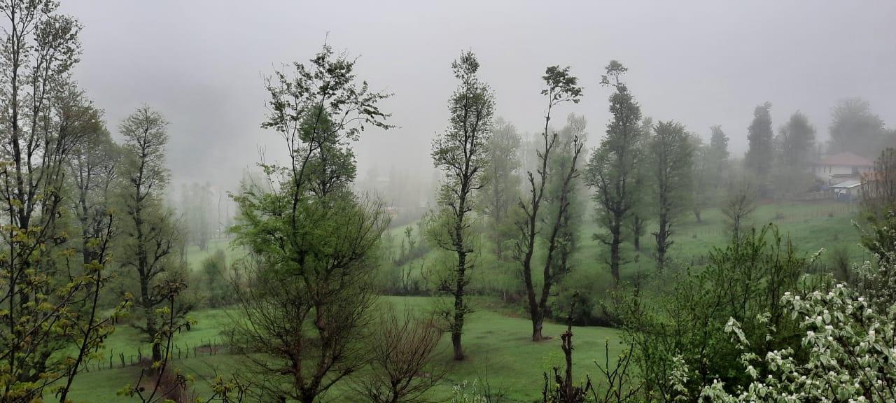 ویلا جنگلی آپادانا روستای استخرگاه
