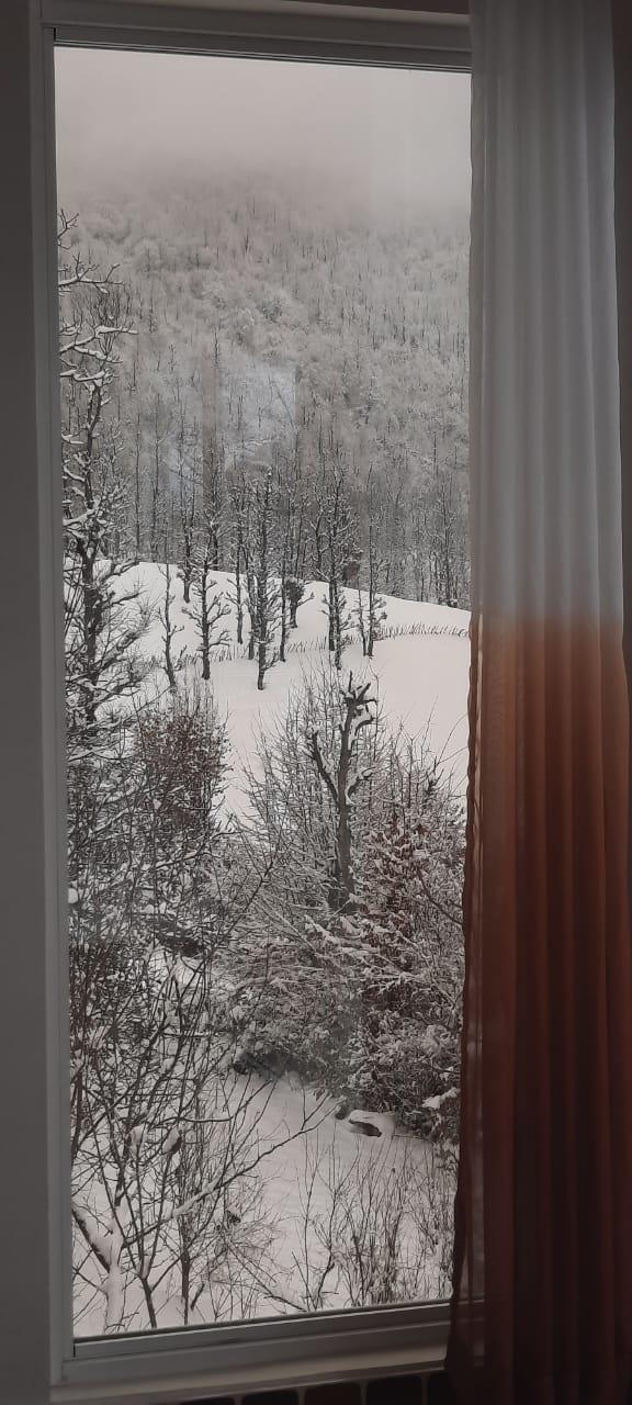 ویلا جنگلی آپادانا روستای استخرگاه