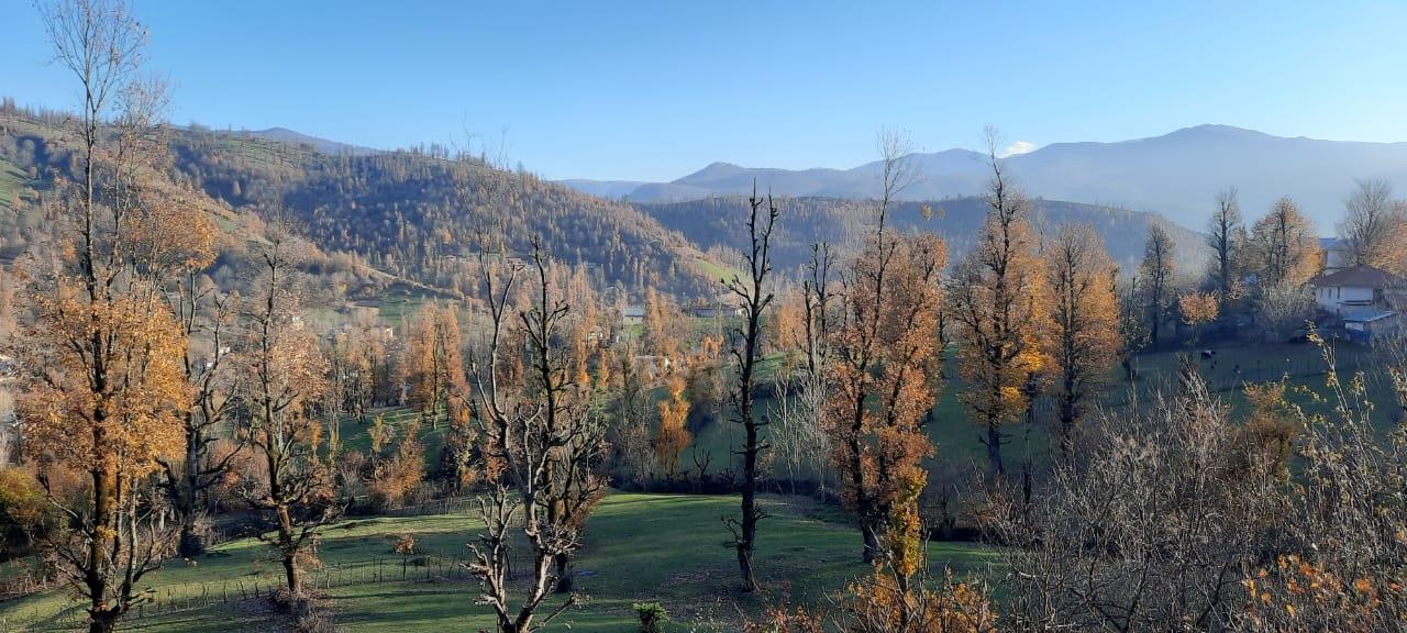 ویلا جنگلی آپادانا روستای استخرگاه