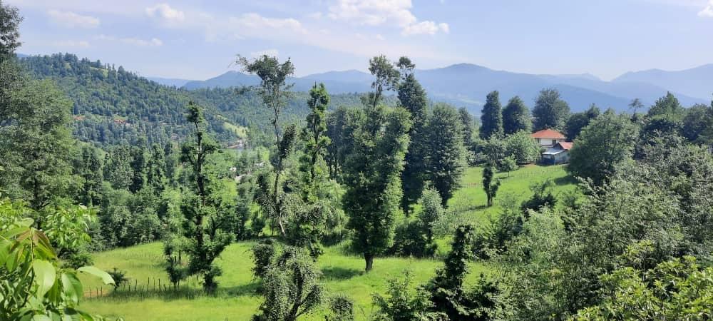 ویلا جنگلی آپادانا روستای استخرگاه