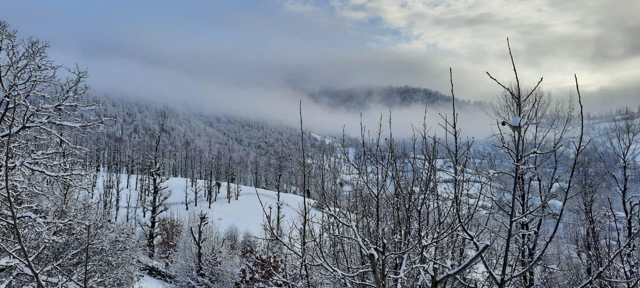 ویلا جنگلی آپادانا روستای استخرگاه