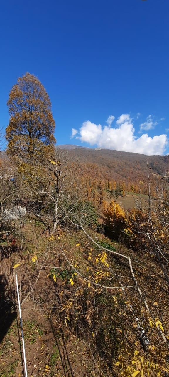 ویلا جنگلی آپادانا روستای استخرگاه