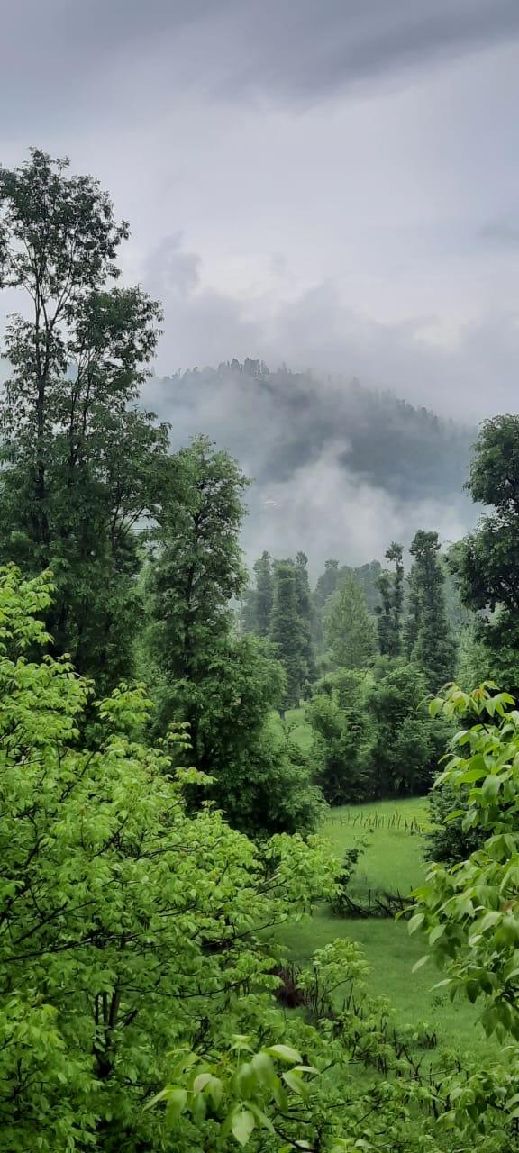 ویلا جنگلی آپادانا روستای استخرگاه