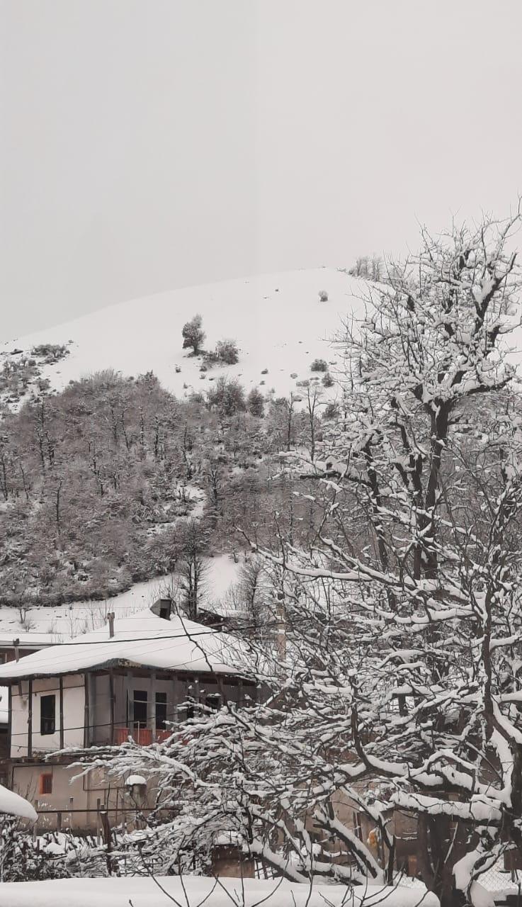ویلا جنگلی آپادانا روستای استخرگاه