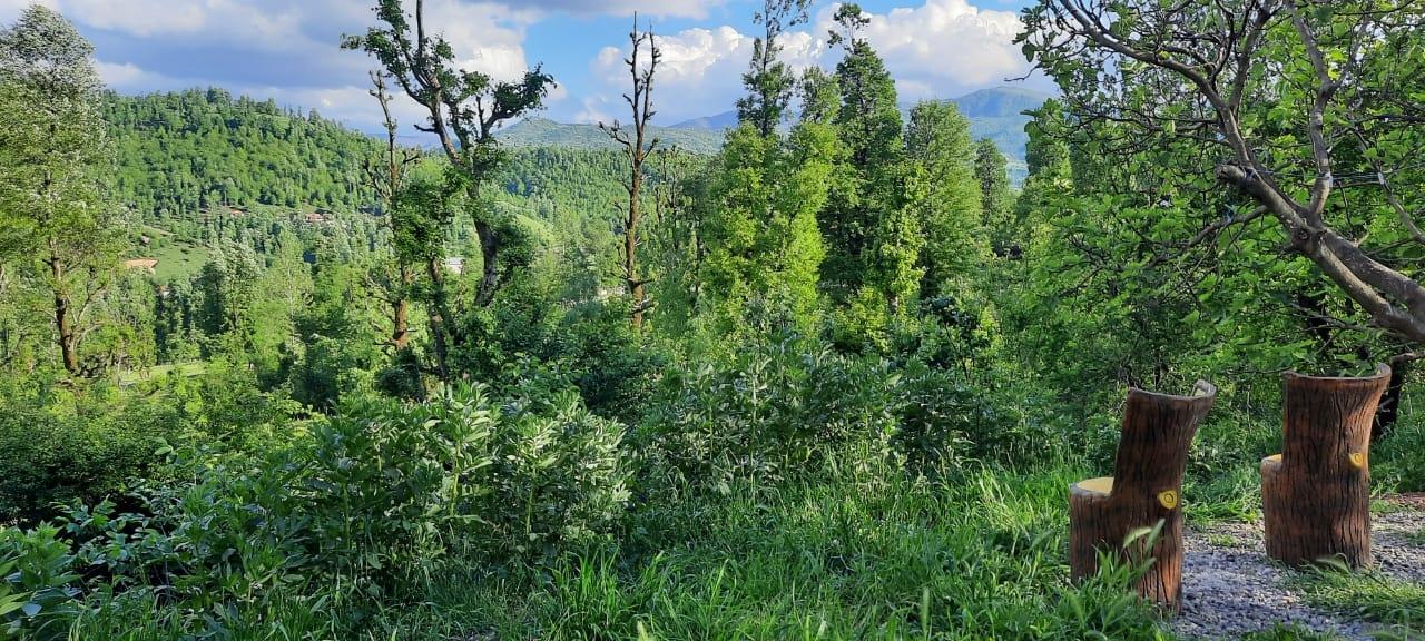 سوییت جنگلی آپادانا روستای استخرگاه - واحد یک