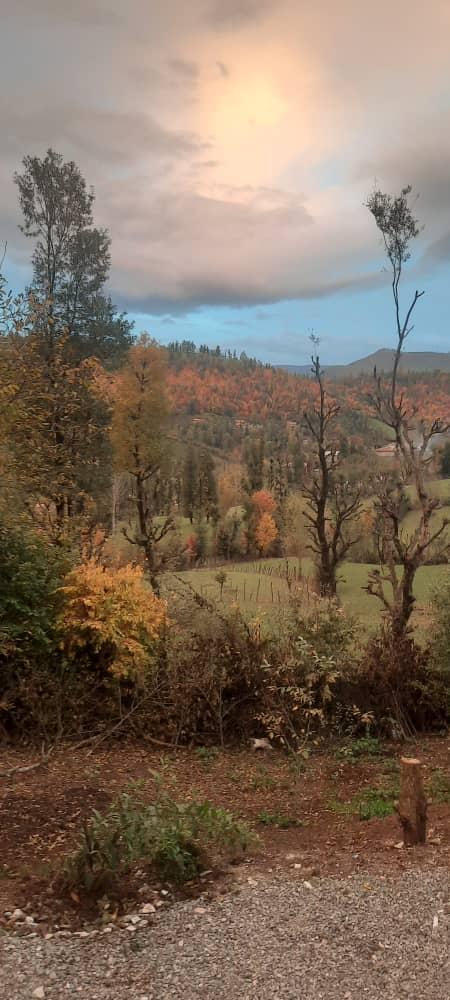 سوئیت جنگلی آپادانا روستای استخرگاه - واحد دو