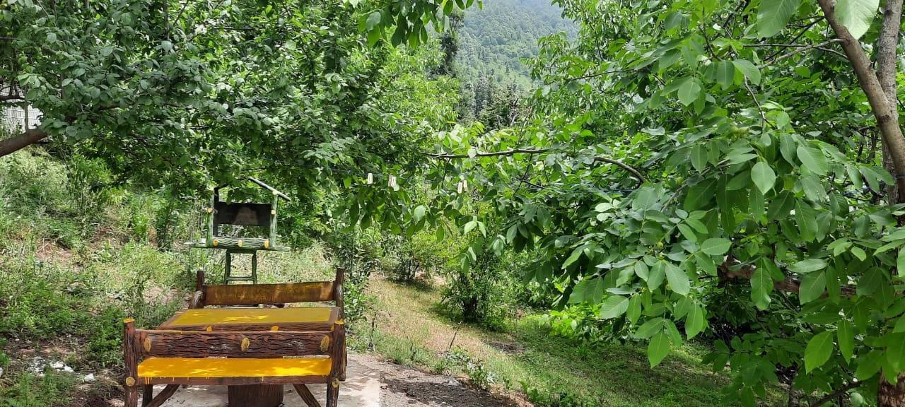سوئیت جنگلی آپادانا روستای استخرگاه - واحد دو