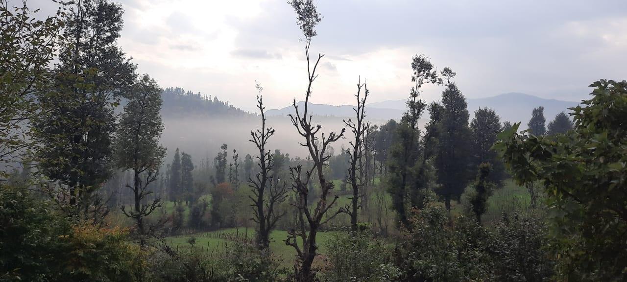 سوئیت جنگلی آپادانا روستای استخرگاه - واحد دو