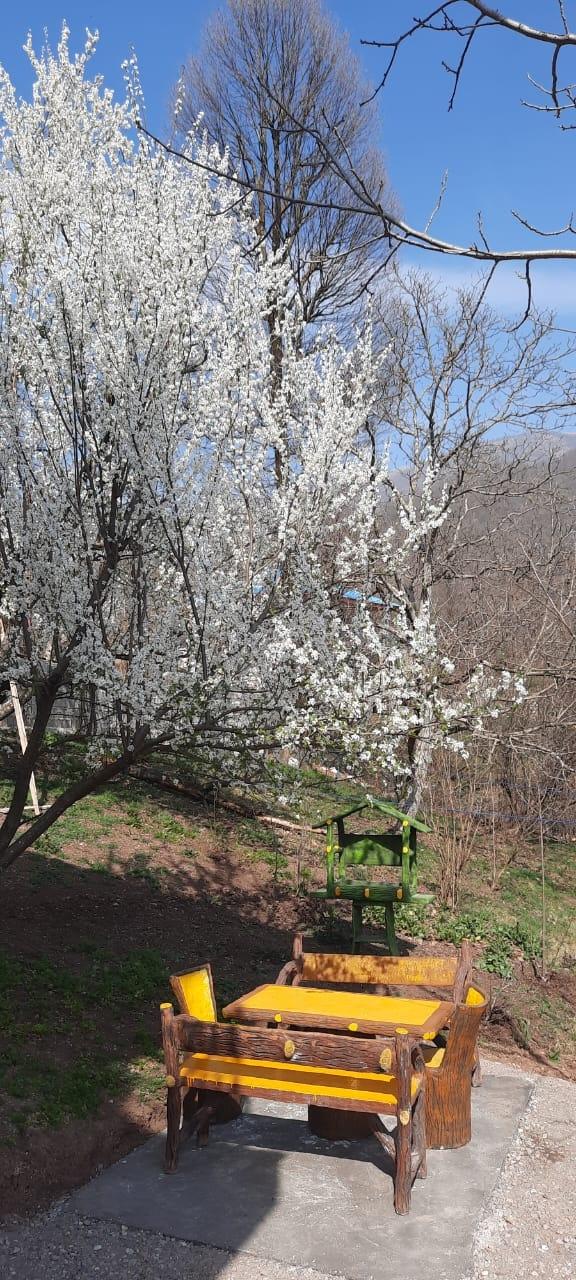 سوئیت جنگلی آپادانا روستای استخرگاه - واحد دو