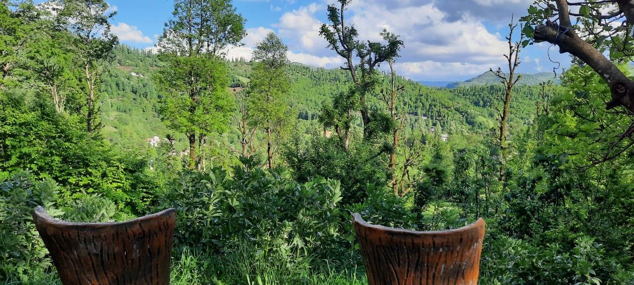 سوئیت جنگلی آپادانا روستای استخرگاه - واحد دو