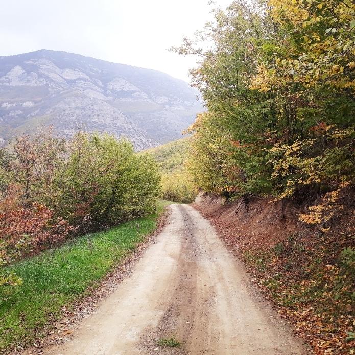 اجاره روزانه سوئیت جنگلی در کلیبر1