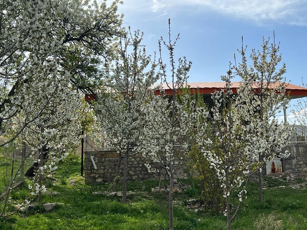 باغ ویلا دو خوابه آبشار آب سفید در الیگودرز