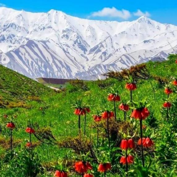 باغ ویلا دو خوابه آبشار آب سفید در الیگودرز