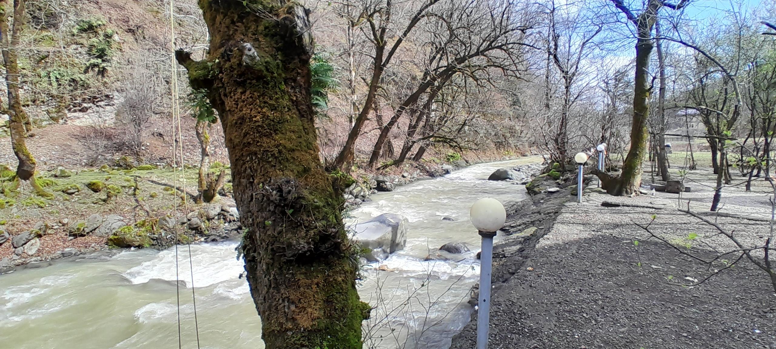 ویلا چوبی در کنار رودخانه وجنگل 