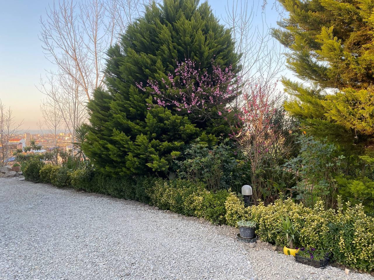 استخر آبگرم و جکوزی با وای فای رایگان