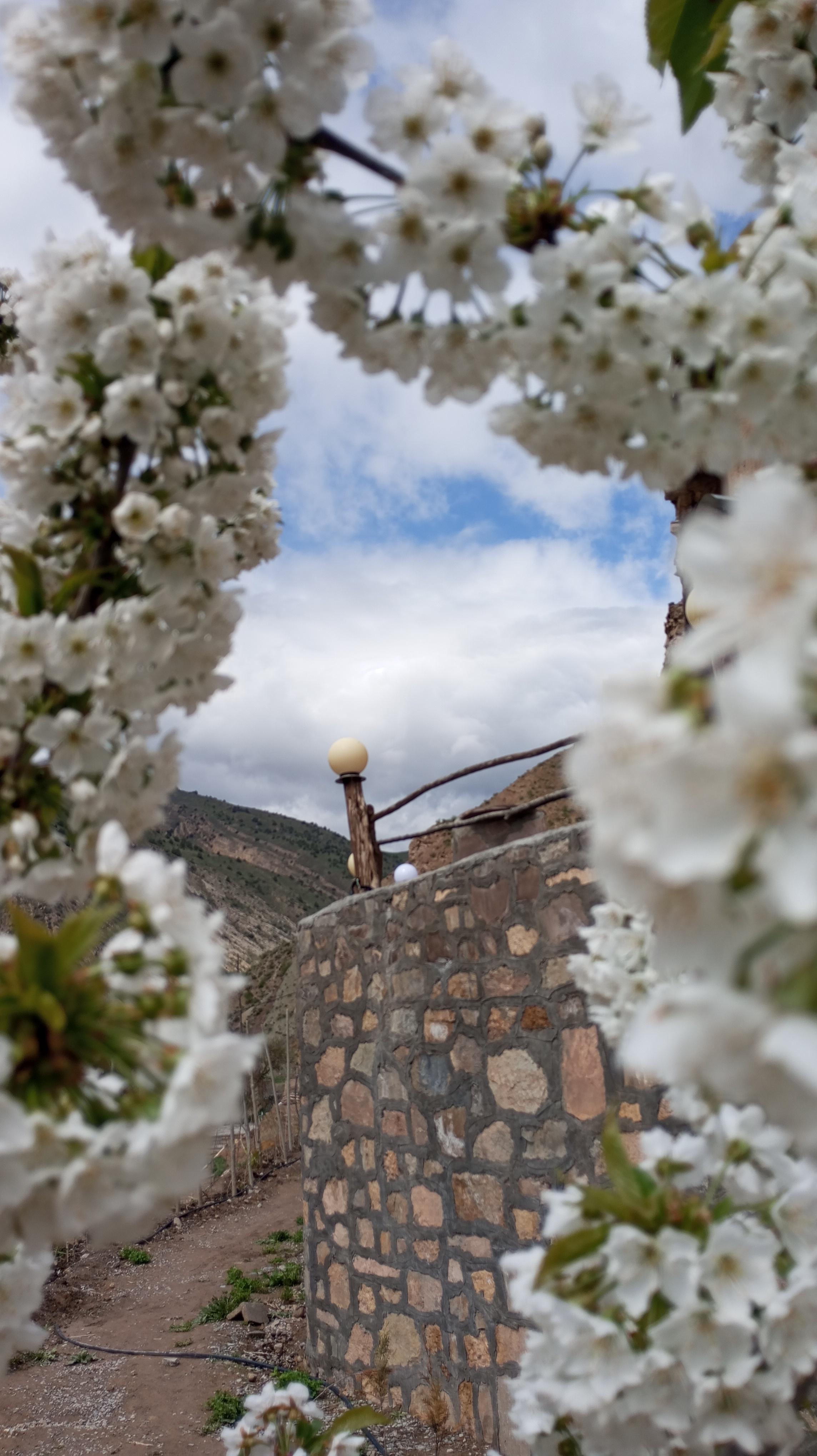 اقامتگاه سرای خورشید کلات نادر چهارراه