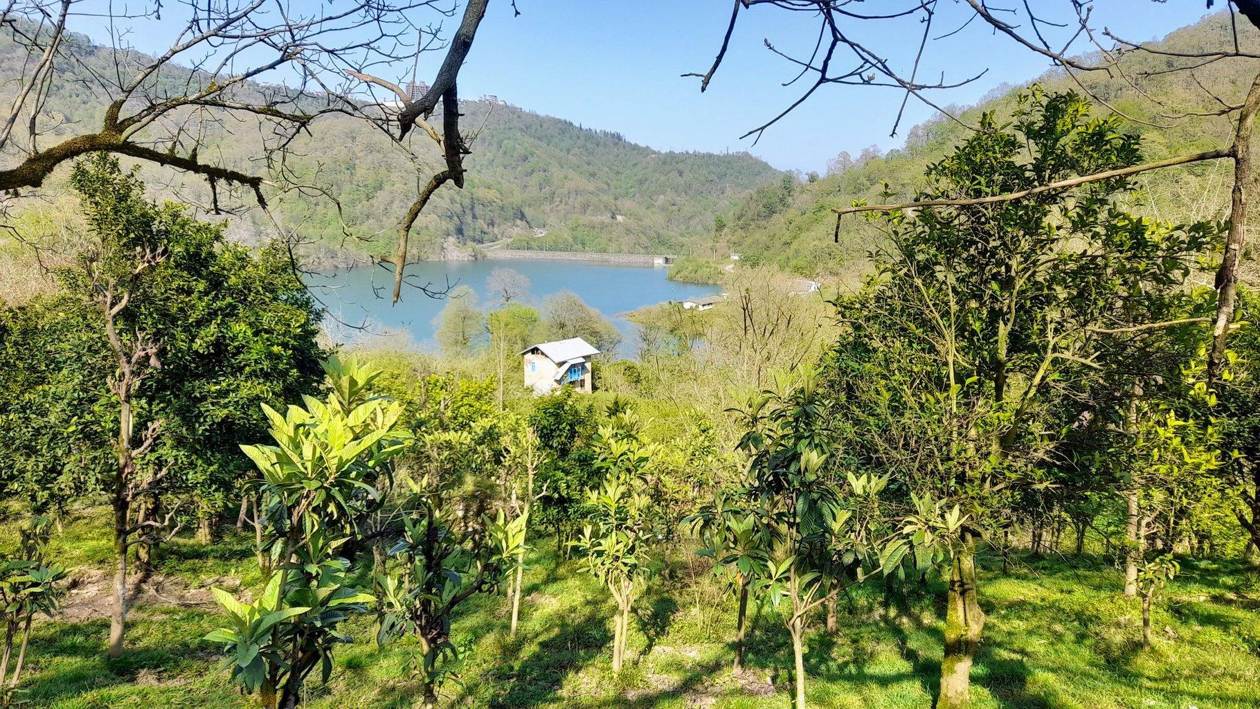 کلبه آرامــــــــــش امینی در رامسر