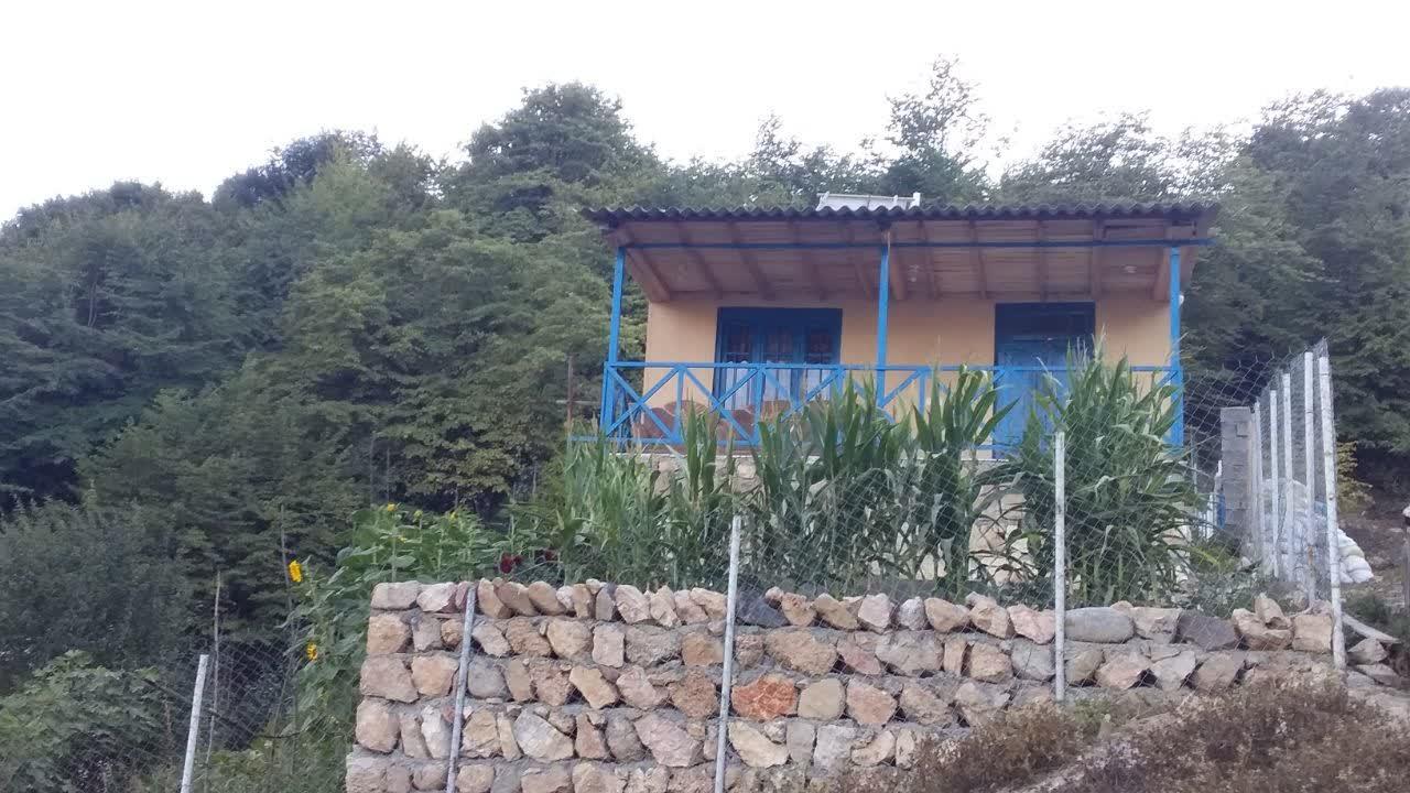 اجاره کلبه اقامتی روزانه در زیارت