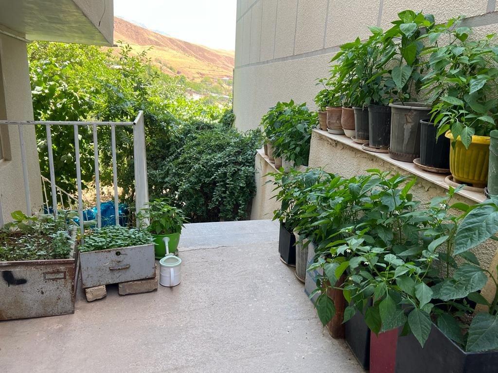 اجاره ویلا دو خوابه الماس الموت