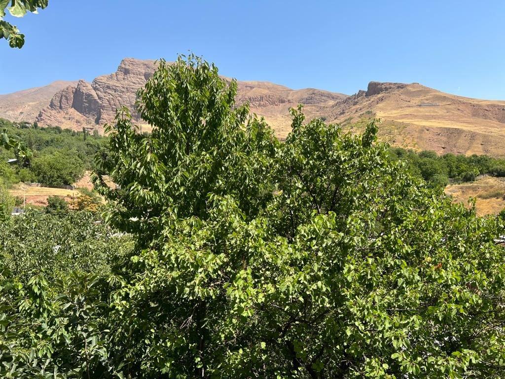 اجاره ویلا دو خوابه الماس الموت