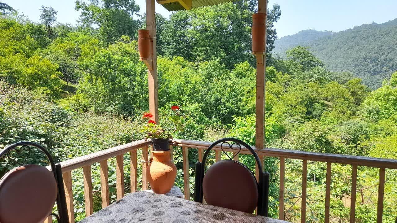 کلبه آرامــــــــــش امینی در رامسر