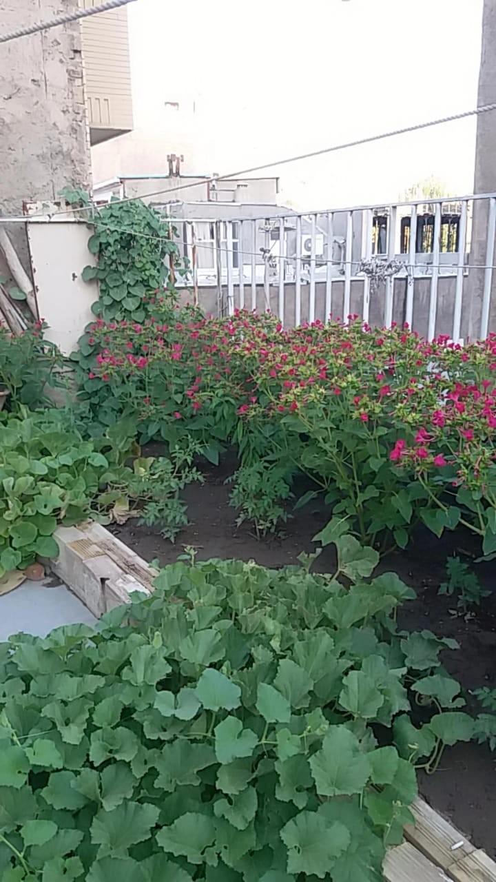 اجاره روزانه سوئیت در بلوار آزادی