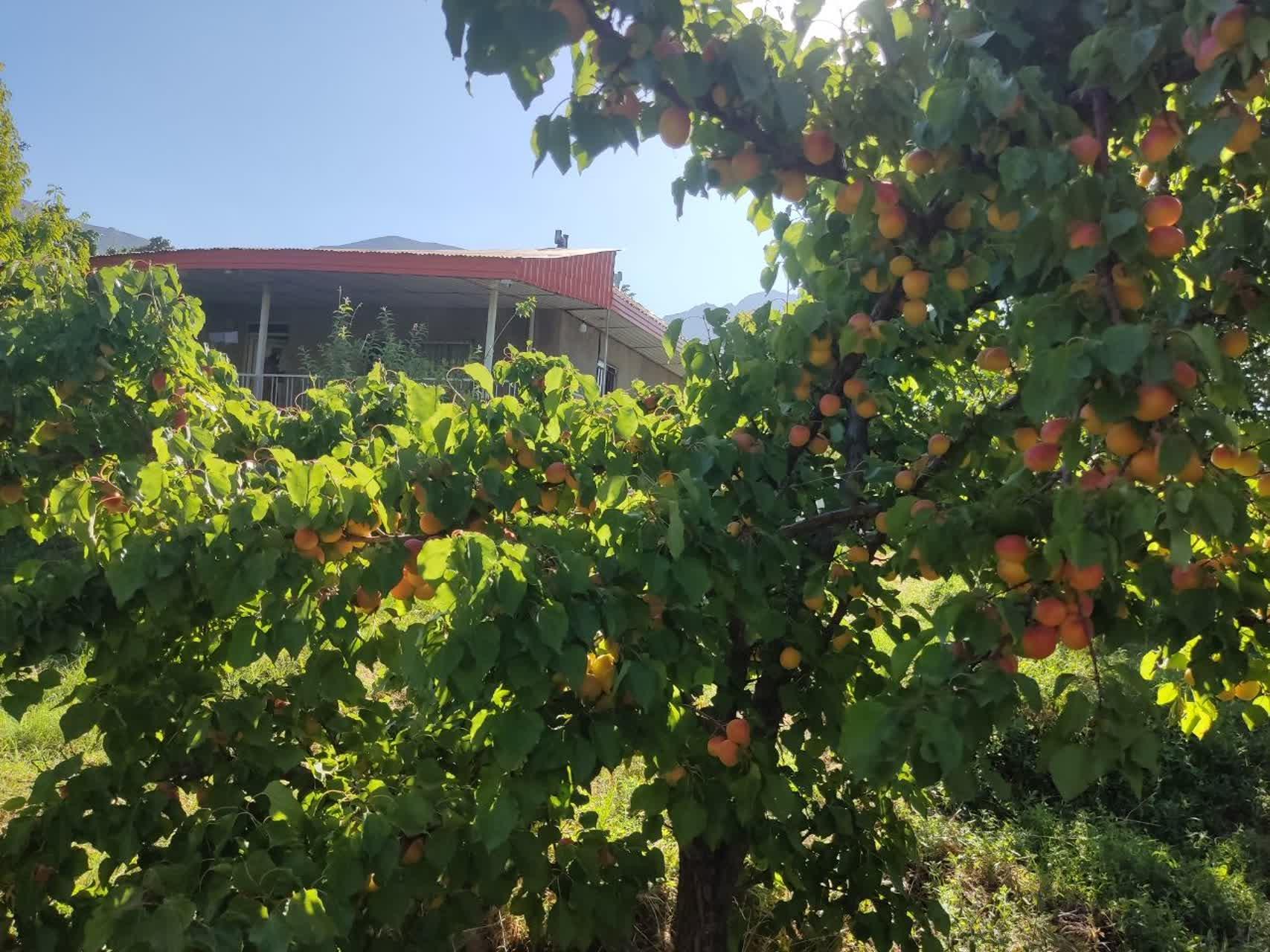 باغ ویلا دو خوابه آبشار آب سفید در الیگودرز