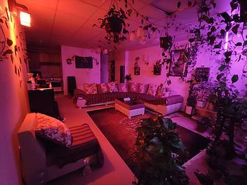 اجاره آپارتمان یک خوابه در شهرک صدرا