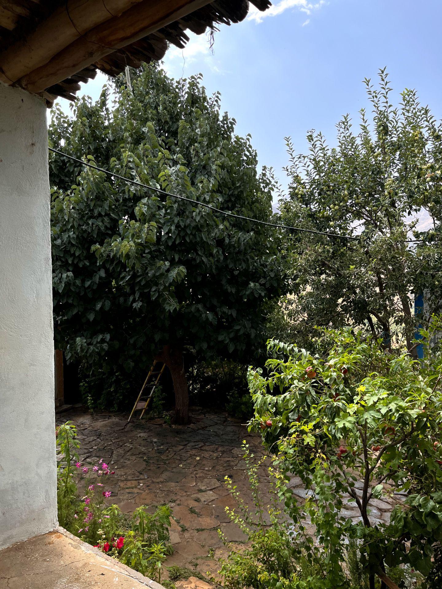 اجاره خانه روستایی در مارگون فارس